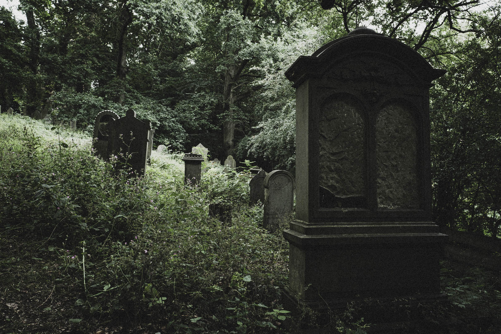 Obernkirchen, Jüdischer Friedhof